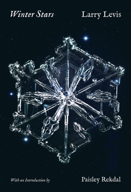 Winter Stars