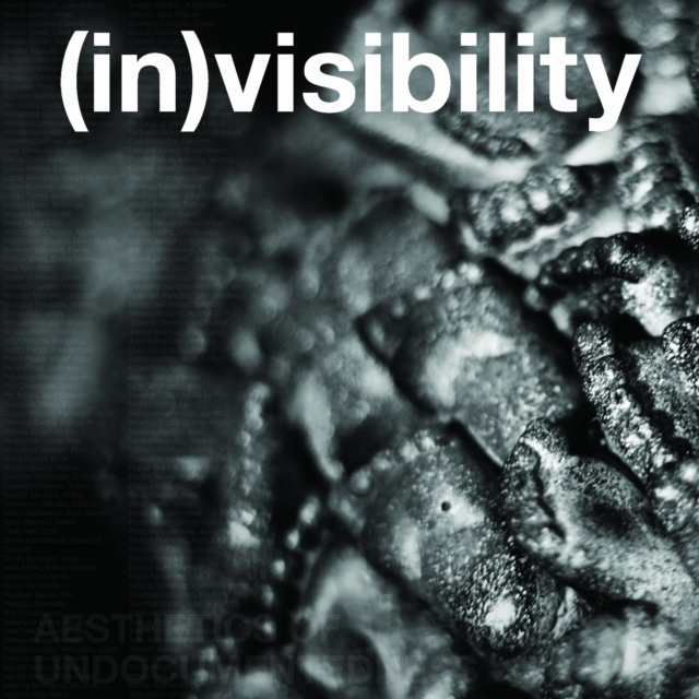 (in)visibility