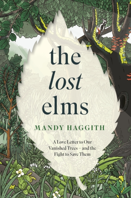 The Lost Elms