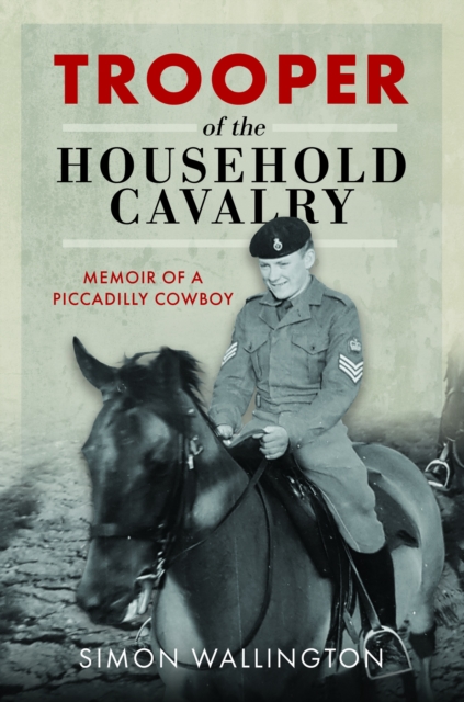 Trooper of the Household Cavalry