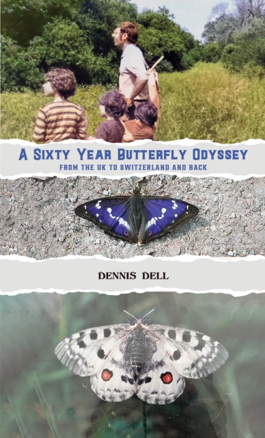 A Sixty Year Butterfly Odyssey