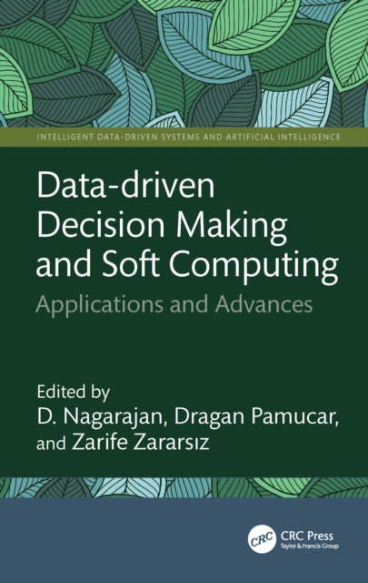 Data-driven Decision Making and Soft Computing