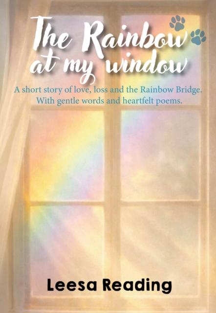 The Rainbow at My Window