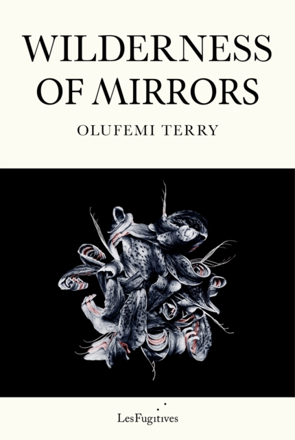 Wilderness of Mirrors