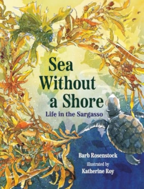Sea Without a Shore
