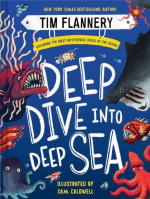 Deep Dive into Deep Sea