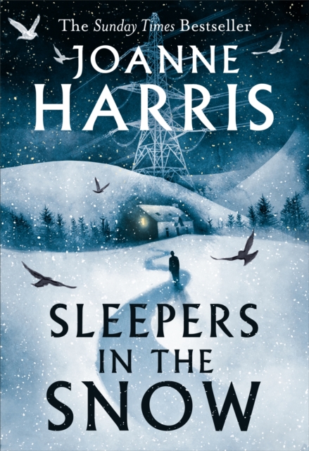 Sleepers in the Snow