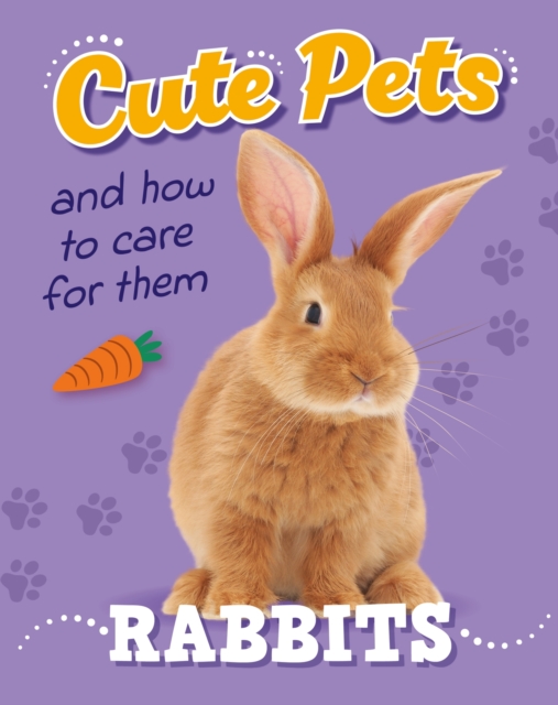 Cute Pets! And How to Care For Them