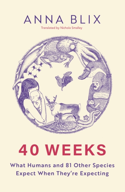 40 Weeks