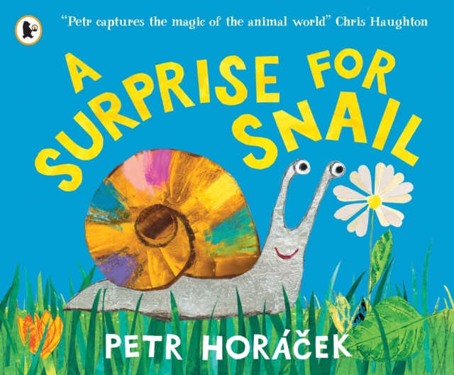 A Surprise for Snail
