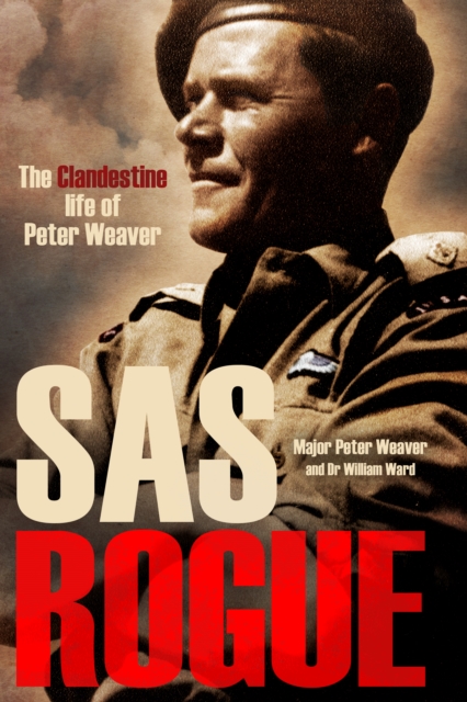 SAS Rogue