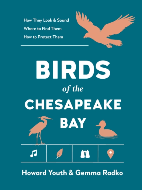 Birds of the Chesapeake Bay
