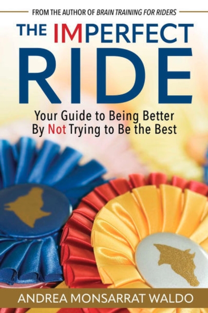 The Imperfect Ride
