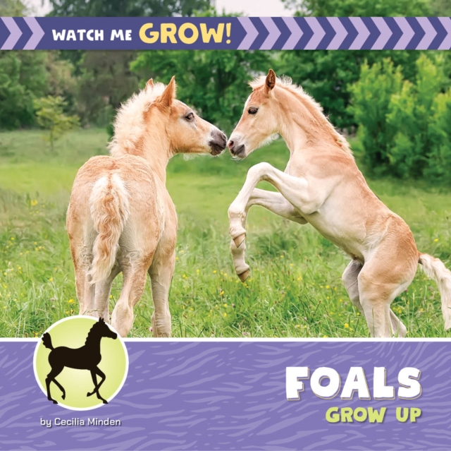 Foals Grow Up