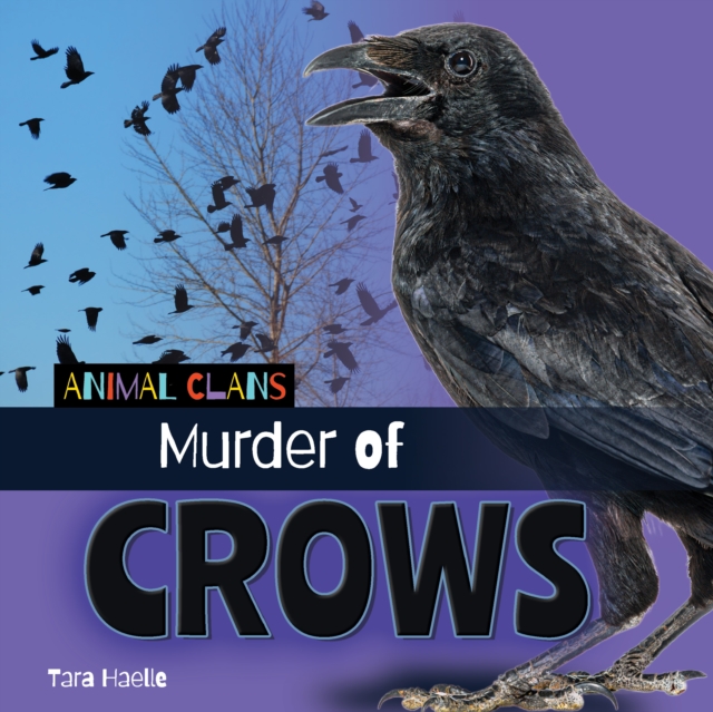 Murder of Crows