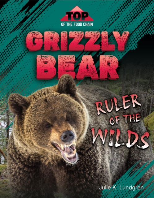 Grizzly Bear