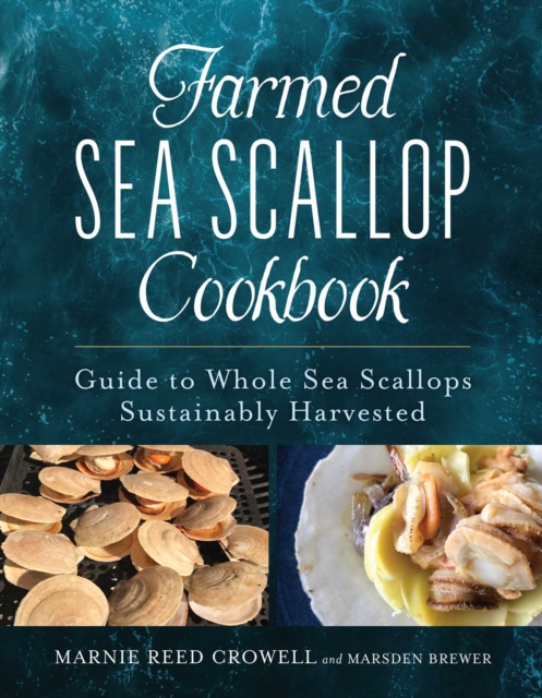 Sea Scallop Cookbook