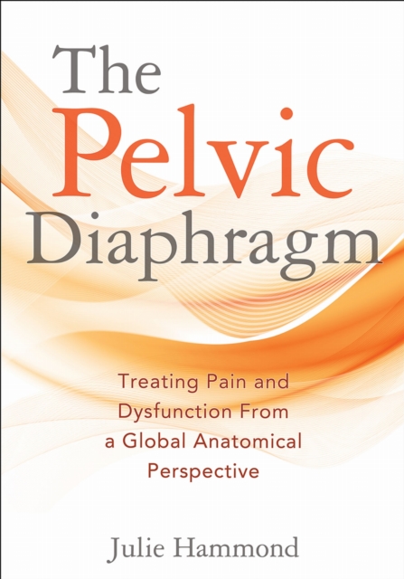 The Pelvic Diaphragm