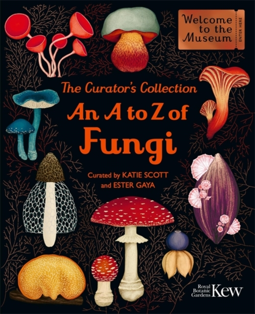 The Curator's Collection