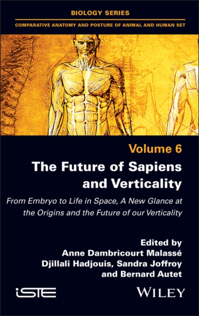 The Future of Sapiens and Verticality