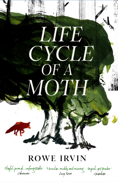 Life Cycle of a Moth