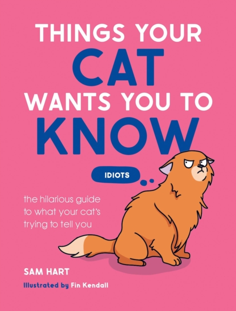 Things Your Cat Wants You to Know