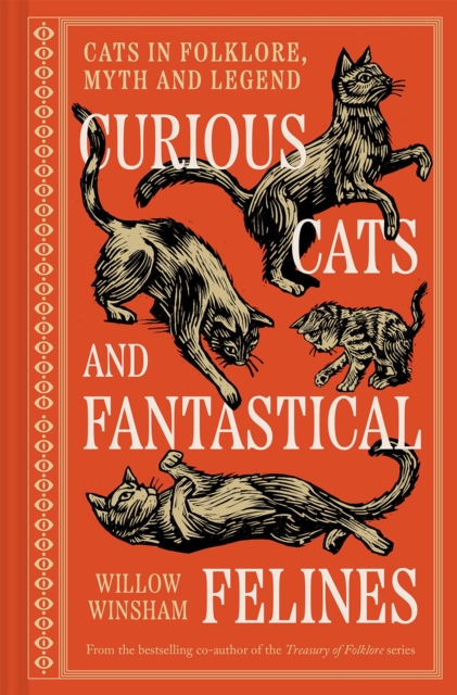Curious Cats and Fantastical Felines