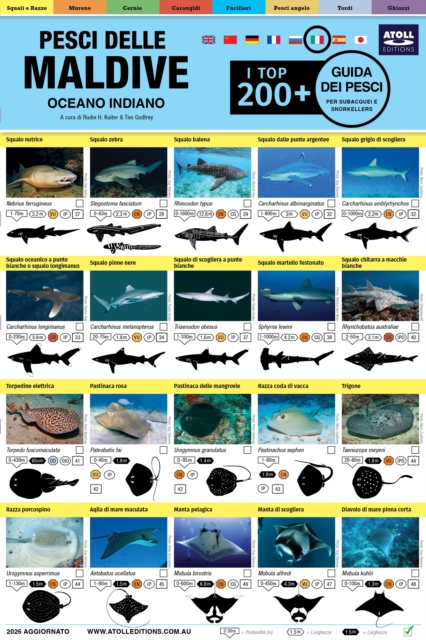 Maldive Guida Dei Pesci