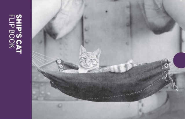 Ship's Cat