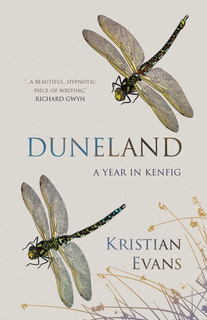 Duneland