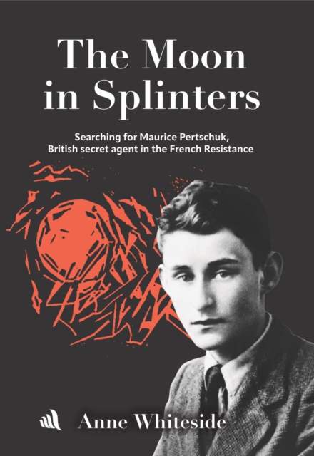 The Moon in Splinters