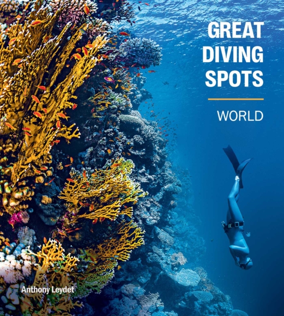 Great Diving Spots - World
