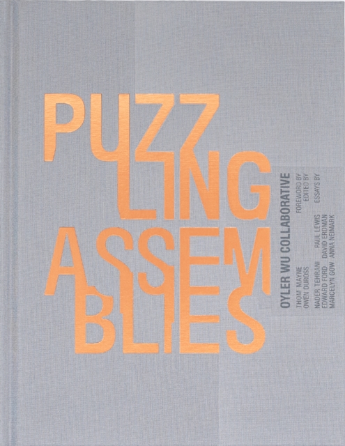 Puzzling Assemblies