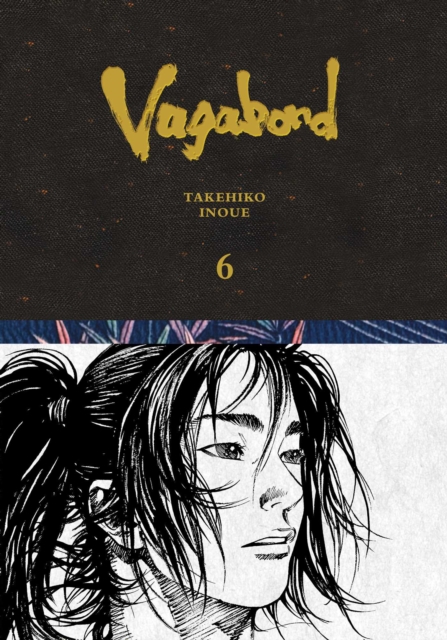 Vagabond Definitive Edition, Vol. 6