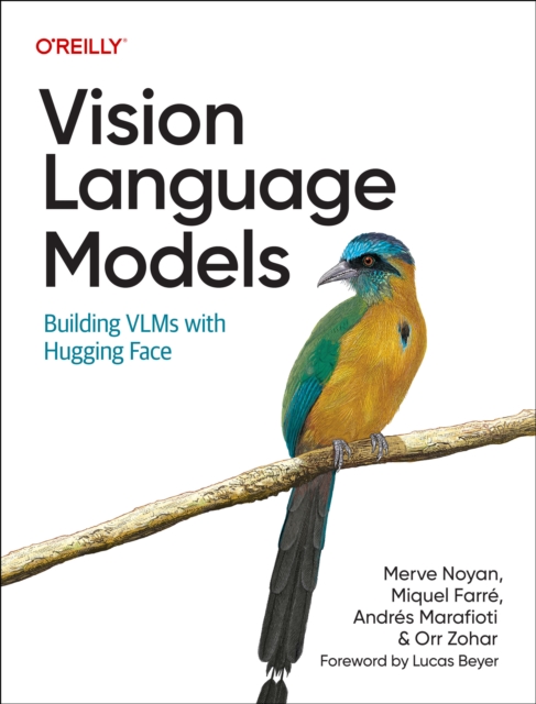 Vision Language Models