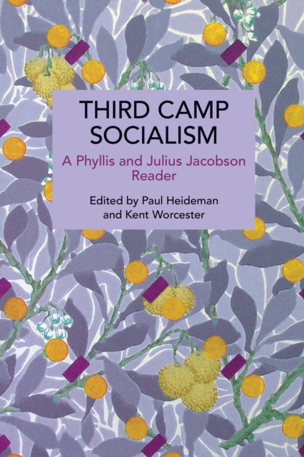 Third Camp Socialism