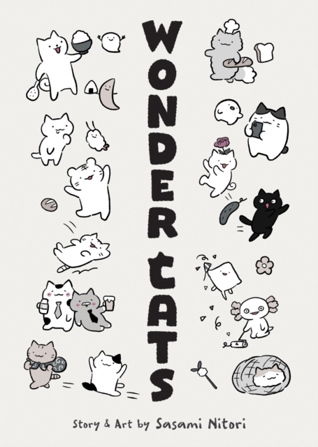 WONDER CATS
