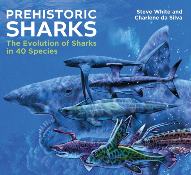 Prehistoric Sharks