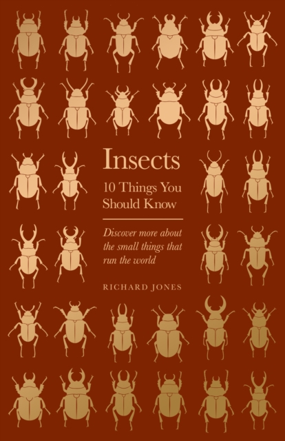 Insects