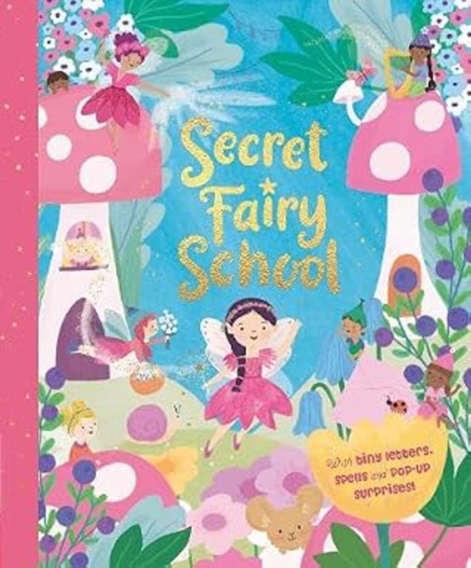 Secret Fairy School