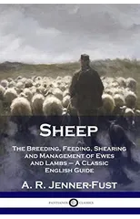 Sheep