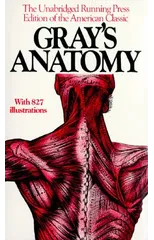 Gray's Anatomy