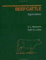 Beef Cattle
