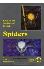 Keys to the Families of British Spiders