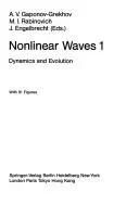 Nonlinear Waves 1