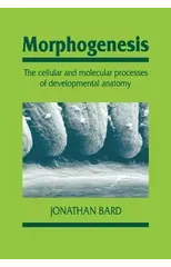 Morphogenesis