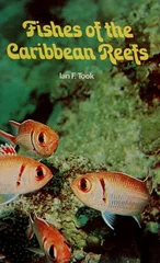 Fishes of the Caribbean Reefs