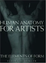 Human Anatomy for Artists