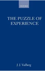 The Puzzle of Experience
