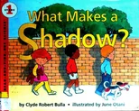 What Makes a Shadow?